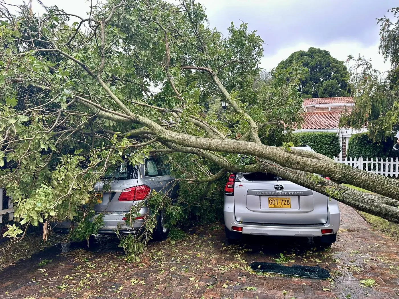 Árbol caído sobre vehículos en un predio privado