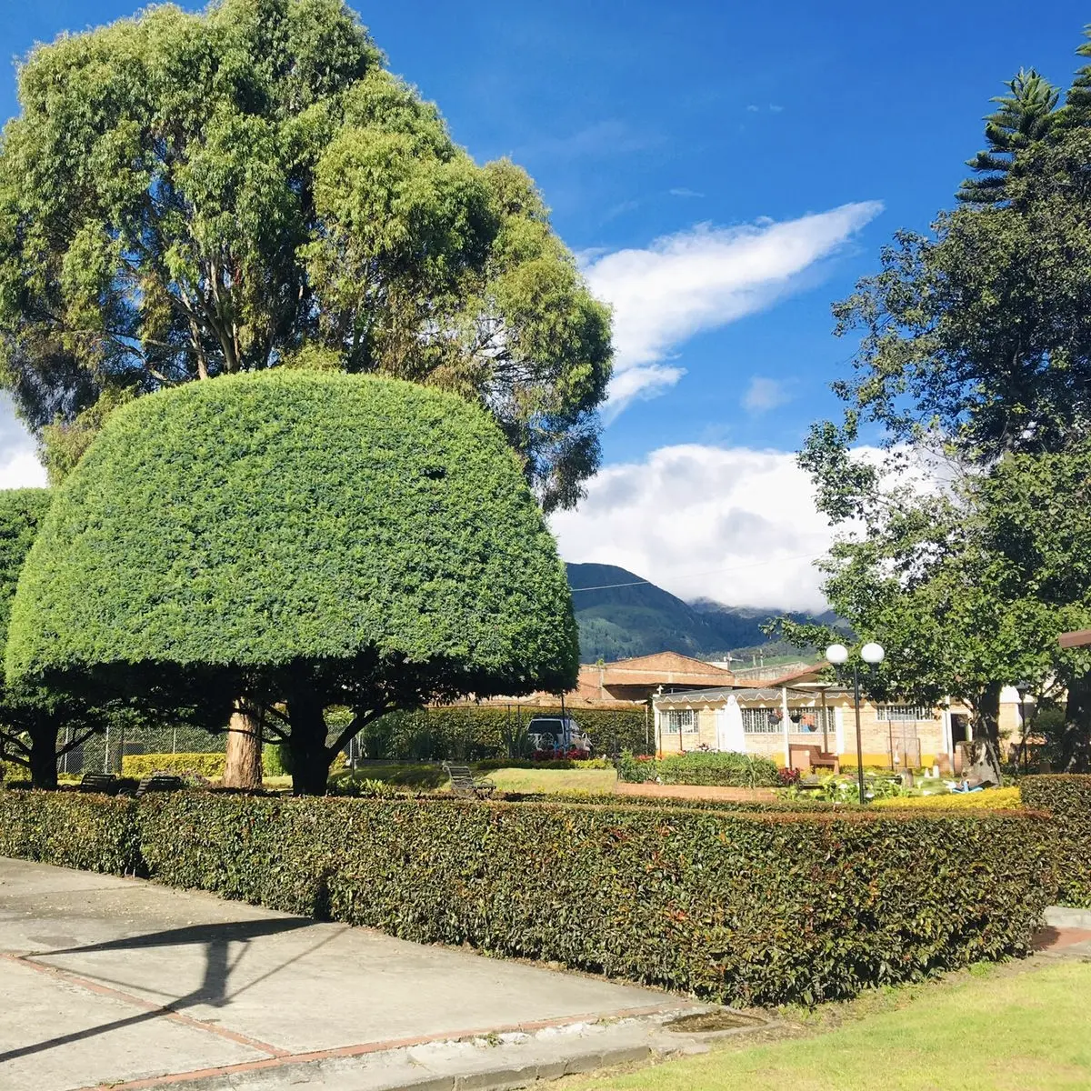 Setos y jardines conservados mediante mantenimiento periódico